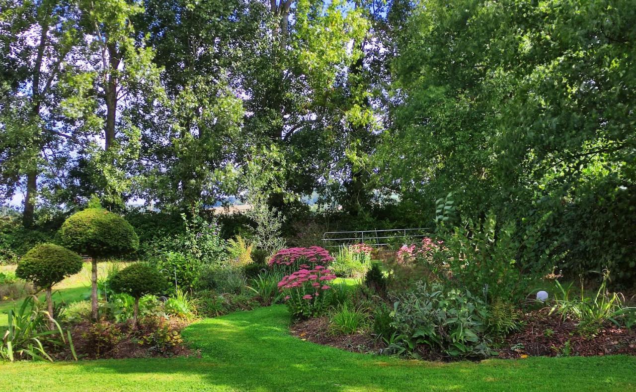 Manoir Du Kasteelveld Ξενοδοχείο Cassel Εξωτερικό φωτογραφία
