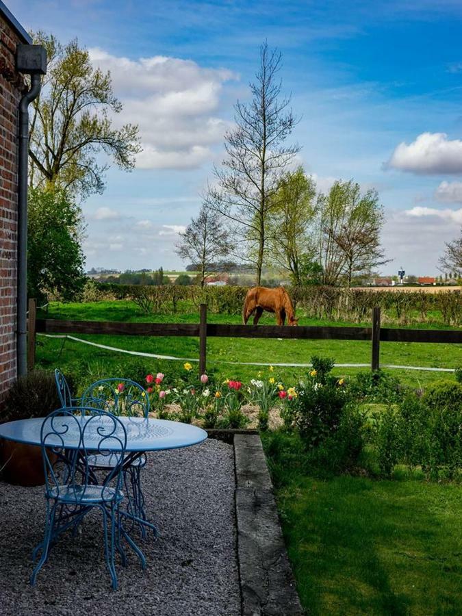 Manoir Du Kasteelveld Ξενοδοχείο Cassel Εξωτερικό φωτογραφία